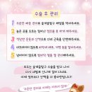 리더스 외과 동물병원 네이버블로그