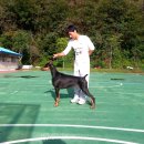 비트켄넬 이미지