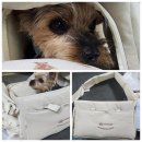 청풍크리닝 | 겟백 에어 장점, 단점, 사이즈 고르는법!! 강아지 이동장 기내가방 슬링백 소프트케이지 + 강아지 냉감...