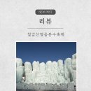 완주덕천 영농조합법인 | 충남 청양 알프스마을 칠갑산 얼음분수축제 2026 총정리 1탄(주차, 입장료, 예약 꿀팁)