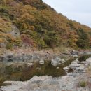 미산가족오토캠핑장 이미지