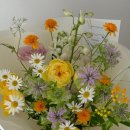 맏언니 자영님의 생신을 진심으로 축하드립니다 이미지