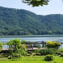 유등농장 이미지