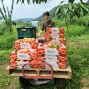 빅토리농장 이미지