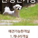 풀빛둥지펜션