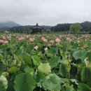 함안찜