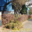 대덕사이언스길(제2코스) 이미지