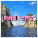투안