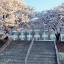 평택대학교 이미지