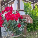 프리미엄 한옥펜션 이미지