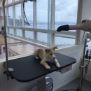 구르미살롱 네이버블로그