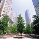 수림조경 네이버블로그
