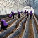 주민농장 이미지