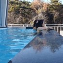 라구스힐 풀빌라펜션 이미지