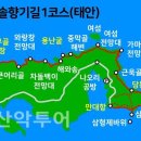 솔향기 이미지