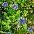 성동1리마을회관 이미지