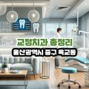 이수현치과의원 | 울산광역시 중구 옥교동 교정치과 총정리