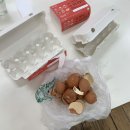 구운초등 병설 | 병설유치원 2시간 알바 일주일 후기