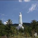 수원-1736 Daum카페