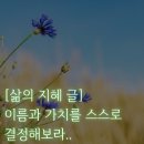 달빛과일 중랑점 | 면목동 점집, 사가 정점 집, 장안동 점집, 초현당 , 꿈해몽