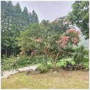 숲골프펜션 이미지