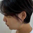 강아지미용실 정독 | 평택미용실 유목민 탈출! 인생 머리 찾은 후기 들어보세요~