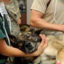 가야종합동물병원 이미지