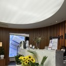 알엑스퍼트홍대 | [무료체험/당첨후기] 신한카드 이벤트 당첨 | 알엑스퍼트(R:Expert) 관리 후기