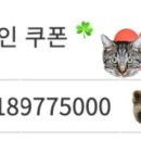 판판차이니즈 이미지