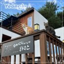 배때기네하우스 이미지