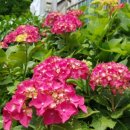 주약초등학교 앞 이미지