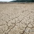 (주)풍전통상