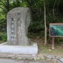양기운 Daum카페
