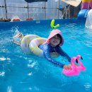 별빛여행 민박 | 영월 반값여행 필수 준비물 코나아이 영월별빛고운카드 12% 인센티브