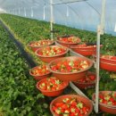 동원농장 이미지