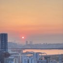 다옴공인중개사사무소 이미지