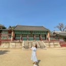 향원 | 2023. 3. 2주 차. 쿼카의 1박 2일 서울 여행 1ㅣ경복궁