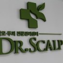 본스칼프 이미지