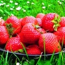 재미있는 난센스 퀴즈~(1) 이미지