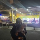 강릉은가비펜션 | 강릉 가성비 애견동반 숙소! 일본 다다미식 강릉 은가비 펜션