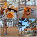 춘천 카페 추천 힐링데이트 코스 소울로스터리카페