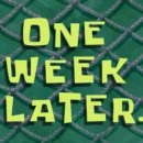 헤어갤럭시 이미지