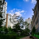 묵현천 하천산책로[창현-2] | 남양주 화도 묵현 산책로에서 만난 고마운 인연