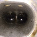 대교카센타 이미지