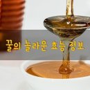 꿀의 놀라운 효능 정보 이미지