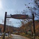 상오안리농장 | (나들이)가을의 끝자락 아이와함께 체험하기좋은 홍천에 위치한 숲속동키마을체험후기