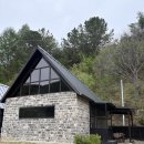 나는숲이다 이미지