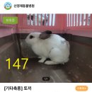 신영재동물병원 이미지