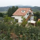 블루베리펜션 이미지