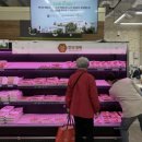 세종한우 이미지